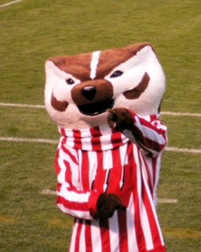 Bucky Badger