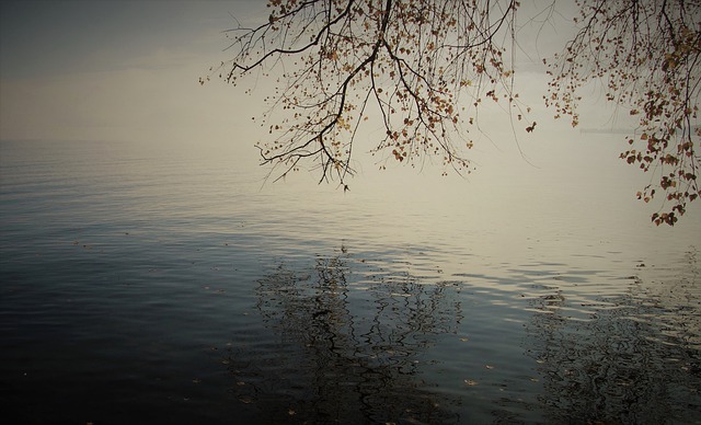 Autumn Dawn Lake Beach Melancholia quiet