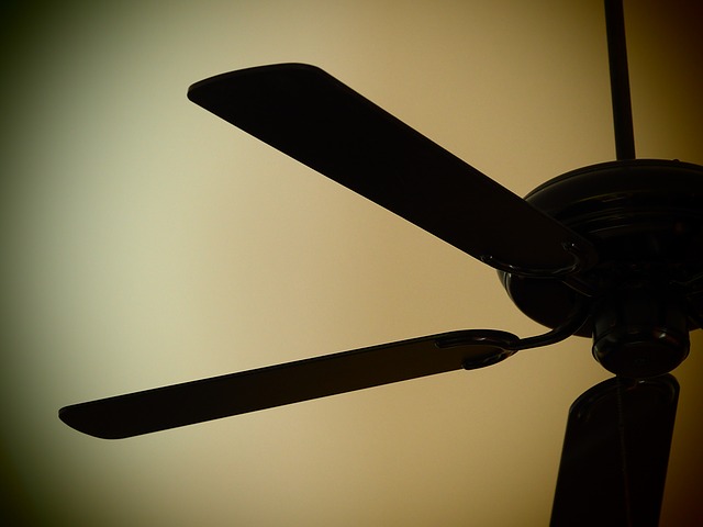 Ceiling Fan Fan Decorate Bedroom 