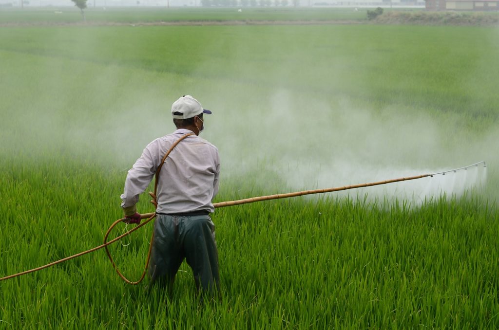 Herbicide Avignon In Rice Field 