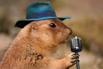 Prairie Dog Singing Musical Rodent 