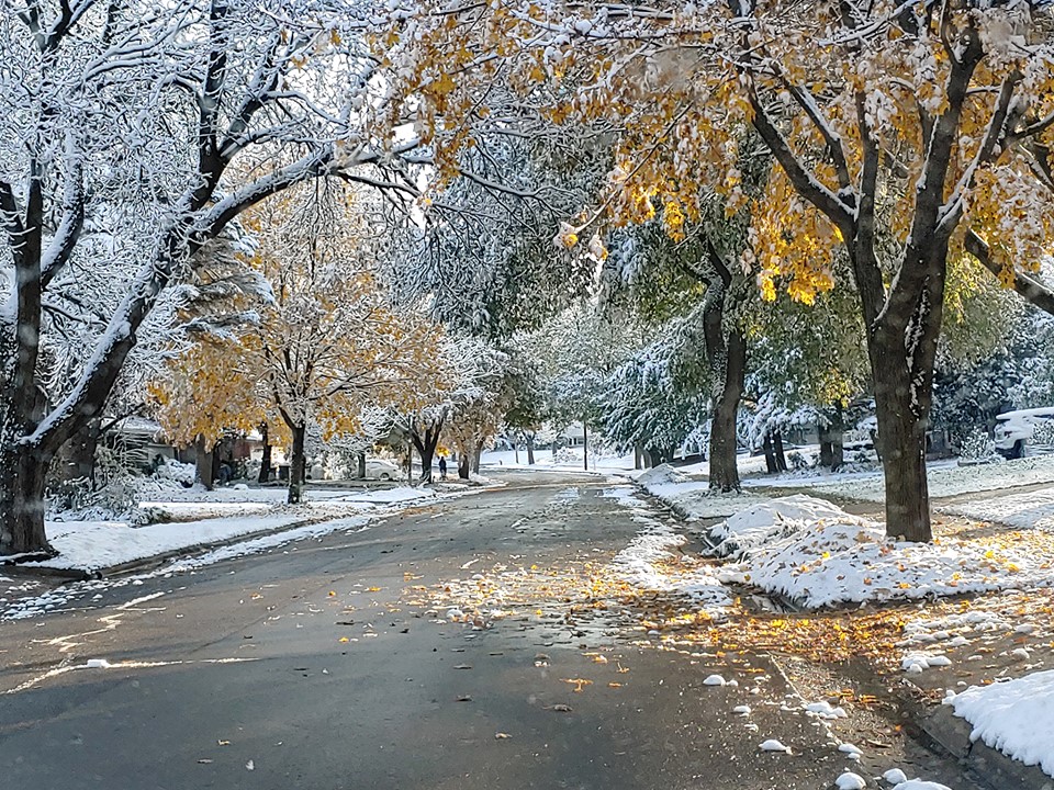 Halloween snow