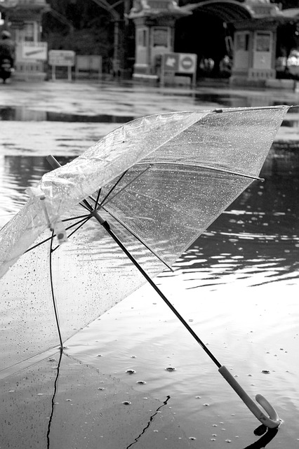 Clear Umbrella Transparent Japan spring rains