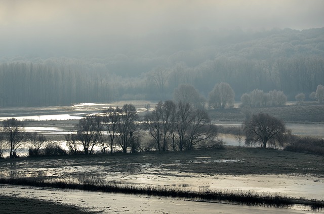 Flood Winter Landscape Nature Fog wet and woolly wisconsin