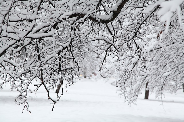 Russian Winter White Snow 