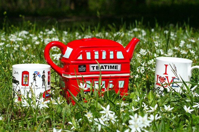 Tea Time Outdoor Cup Kettle 